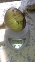 20170818_101915.jpg