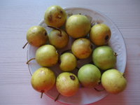DSC05725.JPG