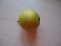 DSC05728.JPG