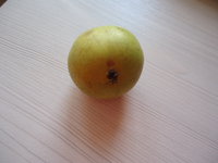 DSC05729.JPG