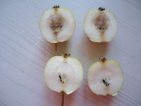 DSC05732.JPG