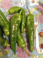 20170815_232215.jpg