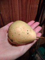 Лада.