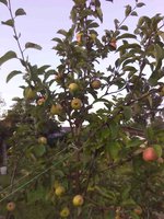 IMG_20170822_174831-min.jpg