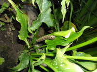 2012.07.23.03.jpg