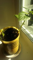 2013-06-28-573.jpg
