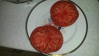 Король Ранних