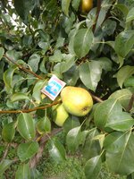 IMG_20170826_135933.jpg
