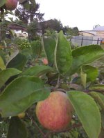 IMG_20170822_174815-min.jpg