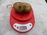 Крыница 1.jpg