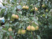 IMG_5767.JPG