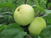 IMG_5793.JPG
