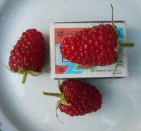 Карамелька