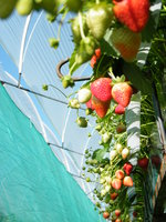 DSCF3305.JPG