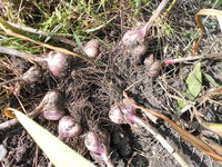 DSCN3977.JPG