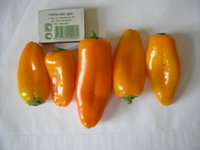 DSCN1129.JPG