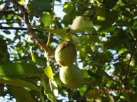 DSCN6210.JPG
