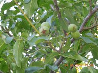 DSCN6213.JPG