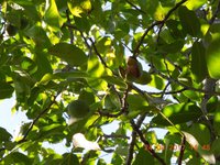 DSCN6209.JPG