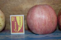 IMG_1185.jpg