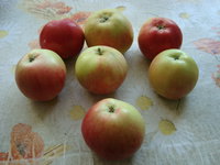 DSC00846.JPG