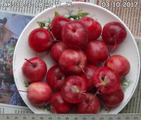 DSC00014.jpg