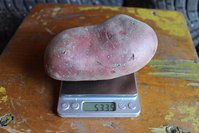 IMG_0130.jpg