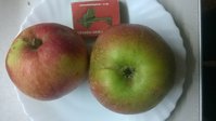 WP_20171009_005.jpg