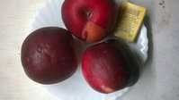 WP_20171009_003.jpg
