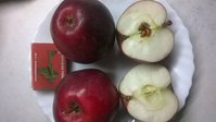 WP_20171009_006.jpg