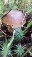 IMG_20171008_105543.jpg