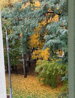 20171012_111348-1-1-1.jpg