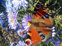 20171010_114529.jpg