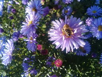 20171010_114809.jpg