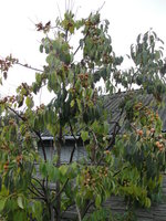 DSC05298.JPG