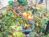 DSC05294.JPG