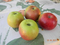 DSCN9583.jpg
