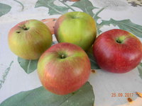 DSCN9584.jpg