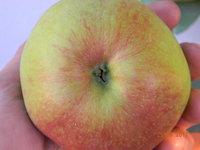 DSCN9585.jpg