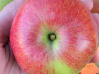 DSCN9586.jpg
