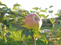 DSCN9577.jpg