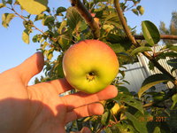 DSCN9578.jpg