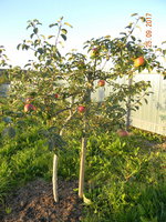 DSCN9580.jpg