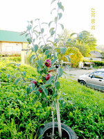DSCN9581.jpg