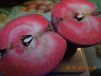 DSCN6233.JPG