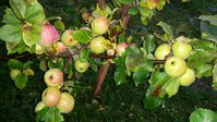 2017-10-17 22.02.37.jpg