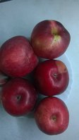 WP_20171017_001.jpg