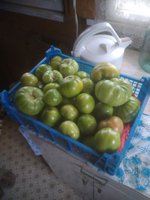 IMG_20171021_105233.jpg