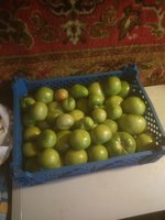 IMG_20171021_105253.jpg