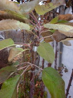 P1000202.JPG